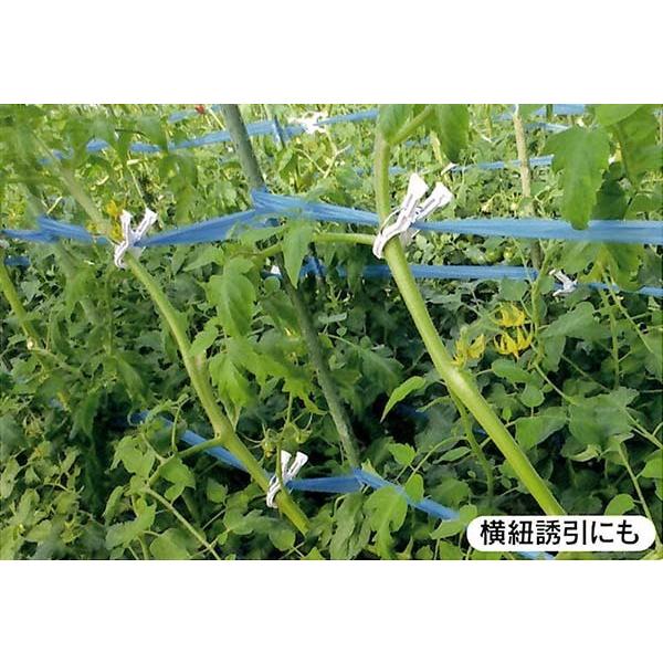 誘引 資材 くきたっちアルファ細紐用 KA-P200 1400個 1回のみ使用⑤ くきたっちアルファ 細紐用 KA-P200 200個入 : 農家のお店おてん