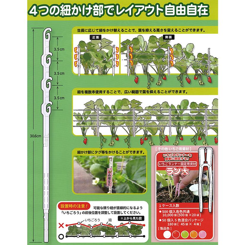 ①苺 いちご いちご adidas ZX 8000