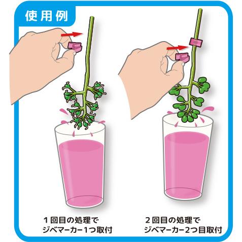 5色 各100個入) ジベマーカー ビビッと (500個) (ピンク イエロー