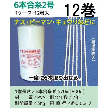 12巻セット特価) 誘引資材 くきたっち誘引紐 6本合糸 2号 Y6-KU02