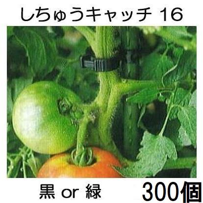 新品　しちゅうキャッチ 16 　3000個 しちゅうキャッチ16 黒 300個 : 農業資材専門店 農援.com - 通販