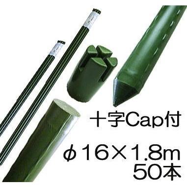 (50本セット) 園芸支柱 (十字キャップ付) イボ付 鋼管竹 φ16mm×1.8m 16×1800mm 農業用 イボ竹 シンセイ (法人個人選択)