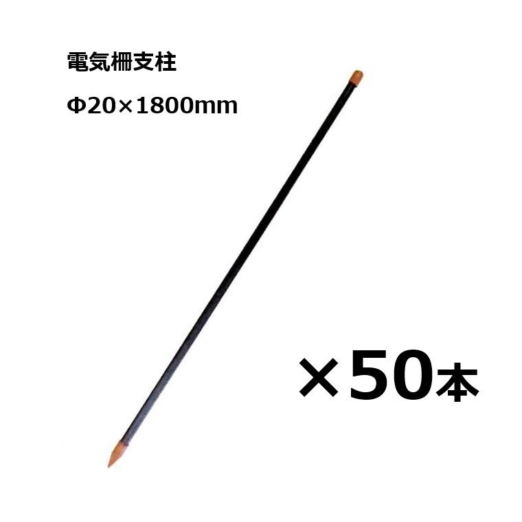 ちぶぎん Amazon.co.jp: MF42501 チキップダンサーズ ぬいぐるみ(M) ほね