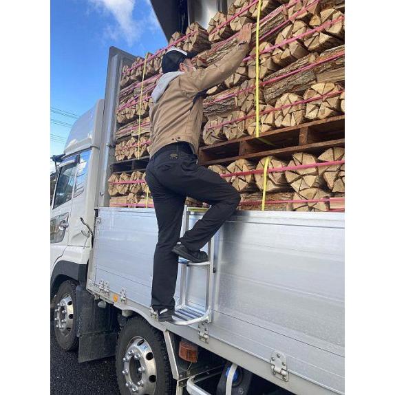 2台セット) トラック用 荷台はしご 2段 74cm×30cm (荷台ハシゴ