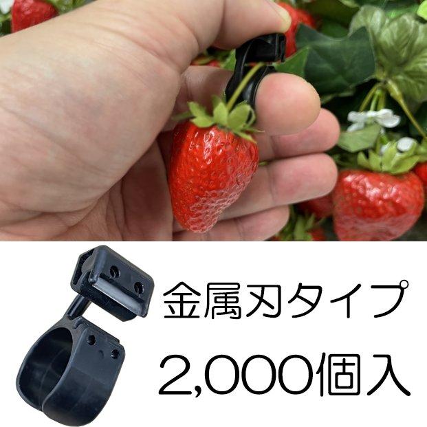 1ケース2000個入) KOTOKO 採果リングカッター(金属刃) K-3330 果実の