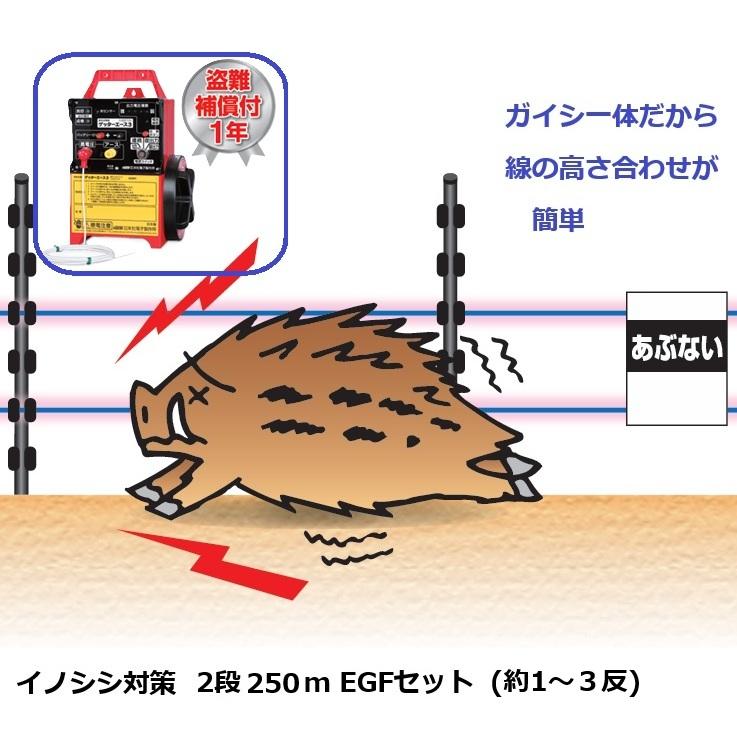 イノシシ対策用 2段250mEGFセット (953) 電気柵 盗難補償付 末松電子 