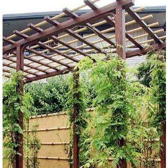 アルエバー 藤棚 ダブル Hd 36 W3600 D1800 H2400 Mm タカショー ふじ棚 ぶどう棚 葡萄棚 パーゴラ Taka0048 ザ タッキーyahoo 店 通販 Yahoo ショッピング