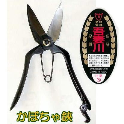(極上別撰 希少品) 吾妻川 カボチャ鋏 220mm かぼちゃ鋏 南瓜鋏 かぼちゃ収穫鋏 箱入　coim (zmA1)
