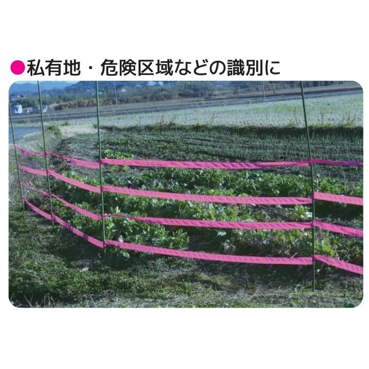 5個セット) 来るなら濃いピンクテープ 50mm×200m 濃さが長持ちする