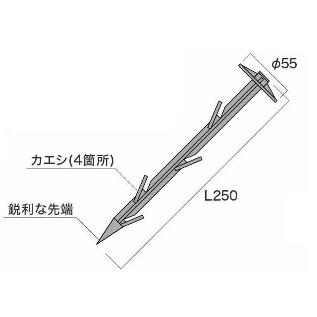 900本入) 草おさえピン 東京戸張 ｜ 頭部55mm 長さ25cm カエシ付き