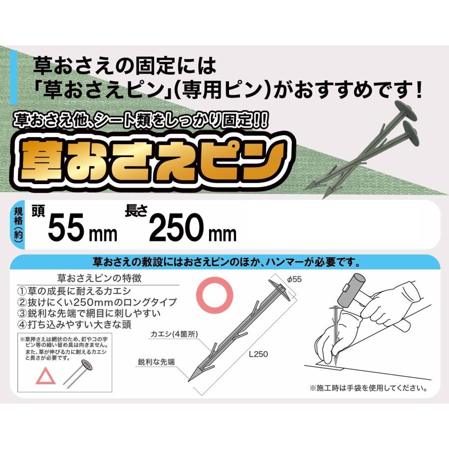 900本入) 草おさえピン 東京戸張 ｜ 頭部55mm 長さ25cm カエシ付き