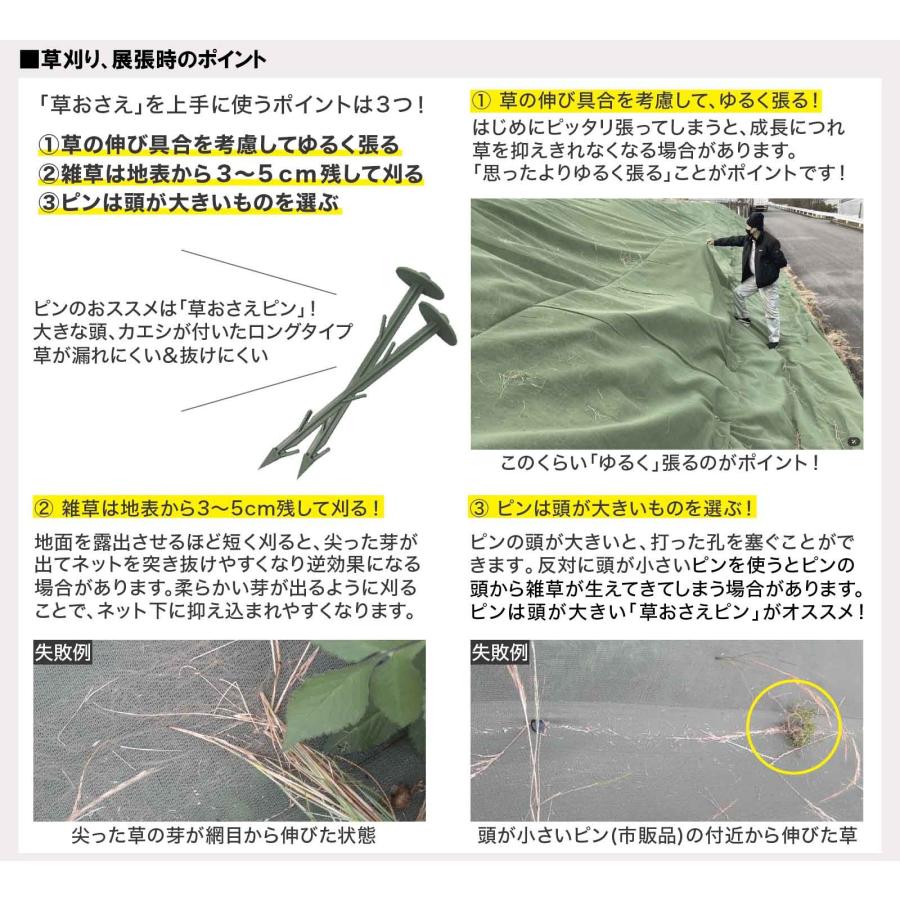 900本入) 草おさえピン 東京戸張 ｜ 頭部55mm 長さ25cm カエシ付き