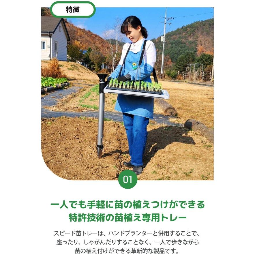 動画あり (6個セット) スピード苗トレー (セルトレー プラグトレー