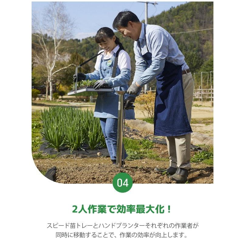 動画あり (6個セット) スピード苗トレー (セルトレー プラグトレー