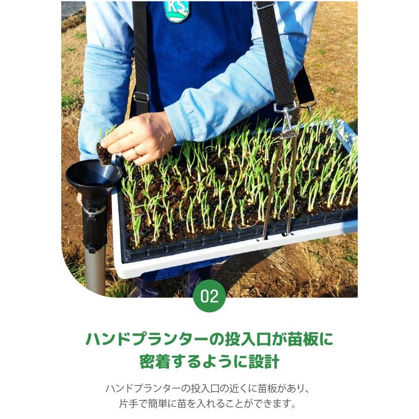 動画あり (3個セット) スピード苗トレー (セルトレー プラグトレー