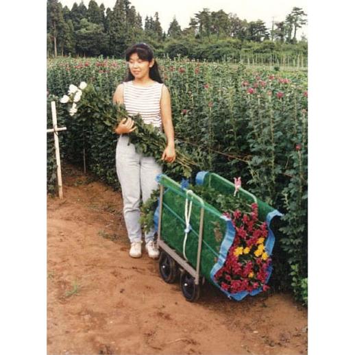 フラワーネット フラワーカバー 90×150cm 5枚セット 花出荷用 包装