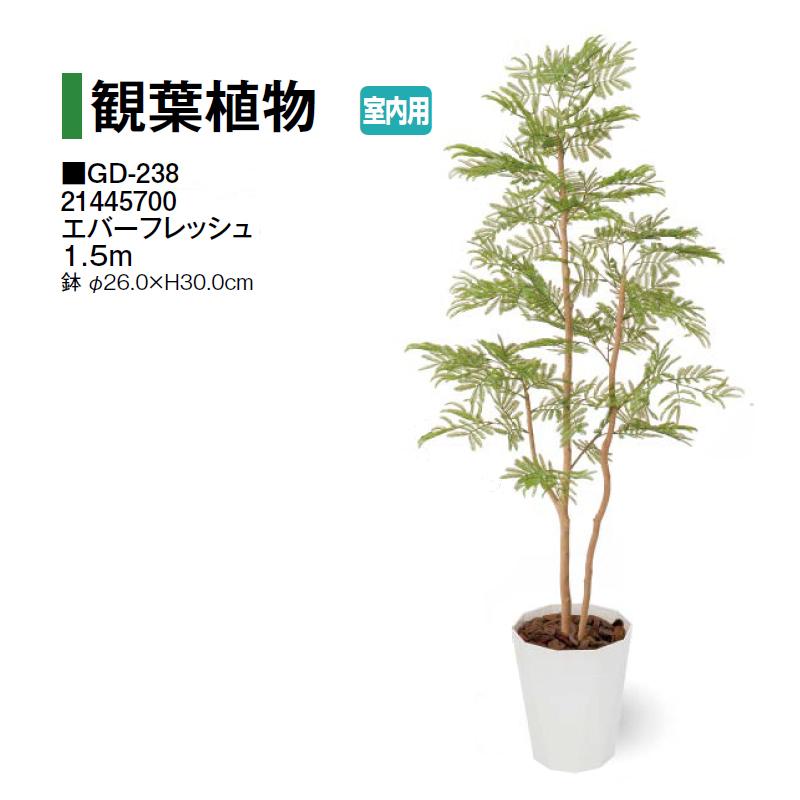 タカショー (室内用) 人工植物 観葉植物 エバーフレッシュ 1.5m (GD