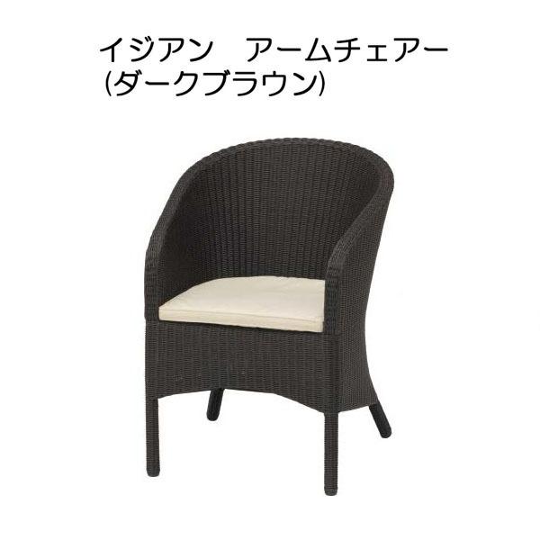 イジアン アームチェアー (ダークブラウン BHM-02AC 31357000) (タカショー)