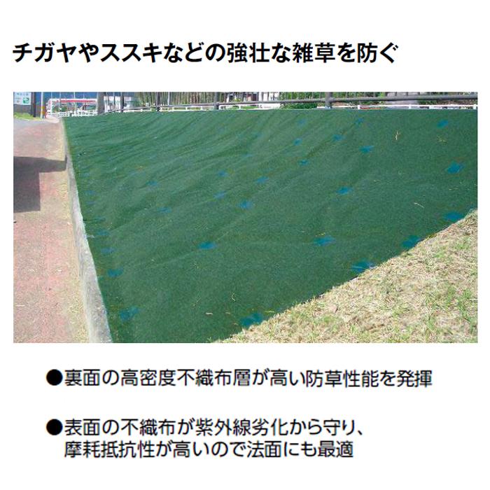 タカショー グランドエフェクター 2×25m (NDA-225E 50692700) グリーン