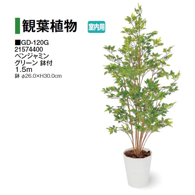 タカショー (室内用) 人工植物 観葉植物 ベンジャミン グリーン鉢付