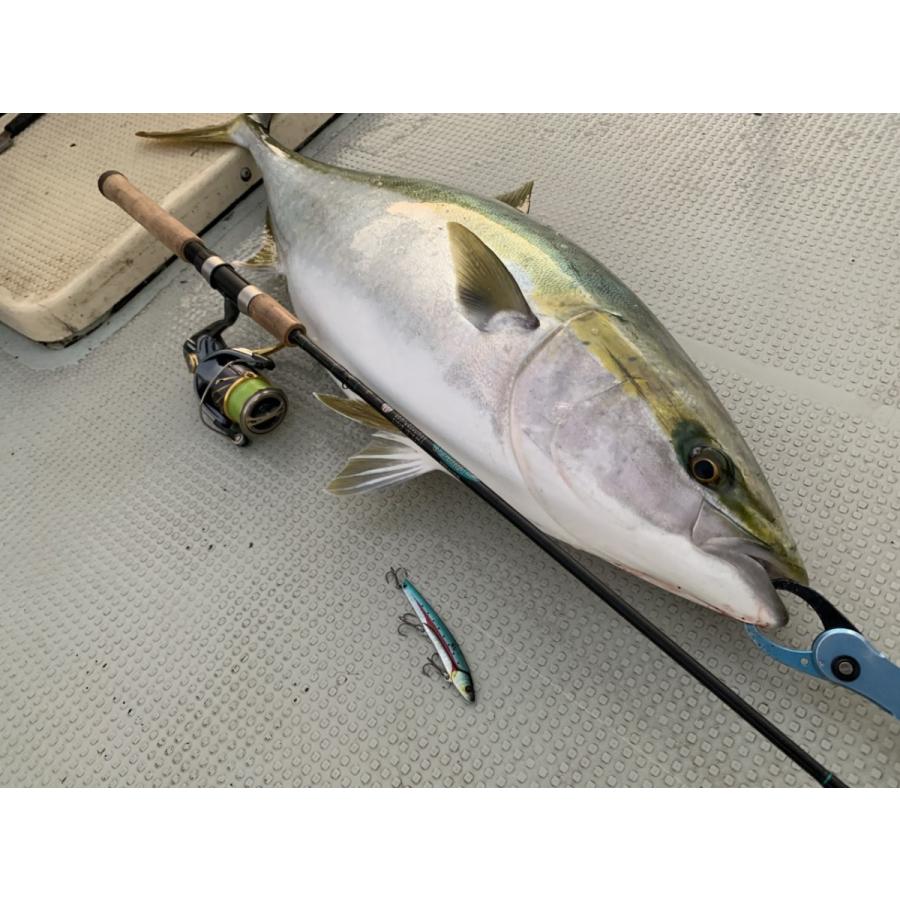 セントクロイ　PS66LF2 スピニングロッド St. Croix PS66LF2 Premier Spinning Rod