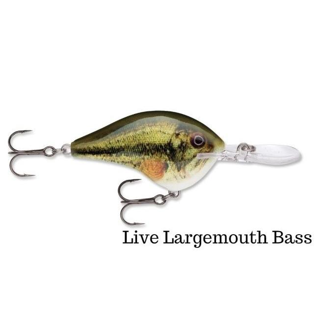 RaPaLa（ラパラ） DT-6 ダイブストゥ【送料220円】 : タックルガレージ