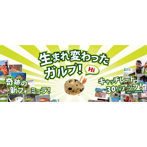 一部予約 Berkley バークレイ ガルプ ソルトウォーター サンドワーム 2インチ モーターオイル ネコポス メール便 対象商品 ソルトウォータールアー ビッグベイト ご確認 本商品はメーカーお取り寄せ品となります Www Fattoriabacio Com