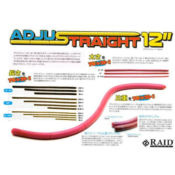 レイドジャパンセット RAID JAPAN レイドジャパン アジャストレート 12インチ : 池袋