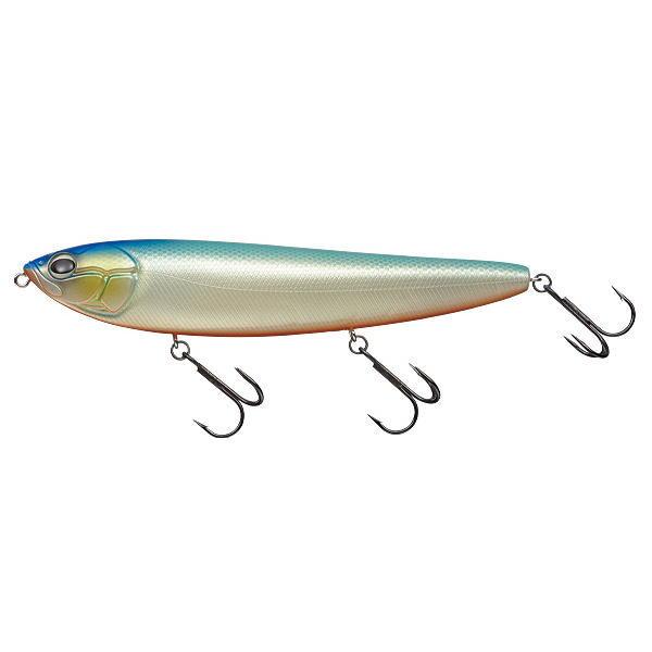 EverGreen エバーグリーン アマゾン ボーンモデル : 池袋