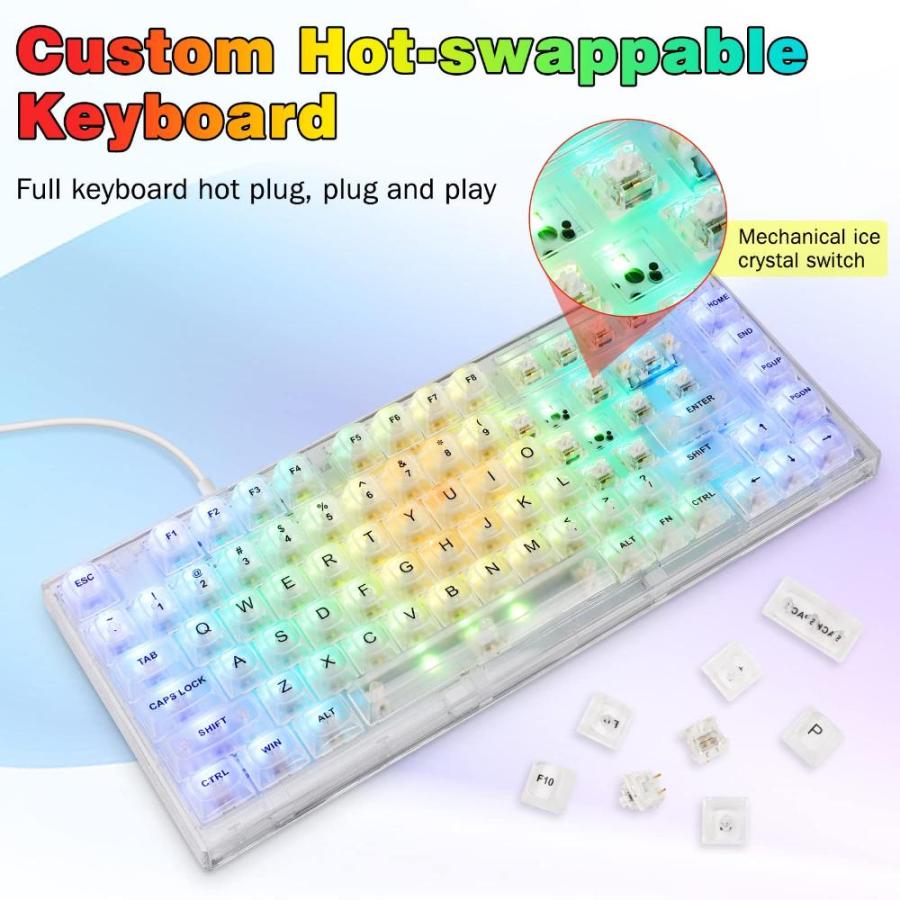 OFF半額 ZDawnn 80% Transparent Mechanical Gaming Keyboard with Hot Swappable Gasket