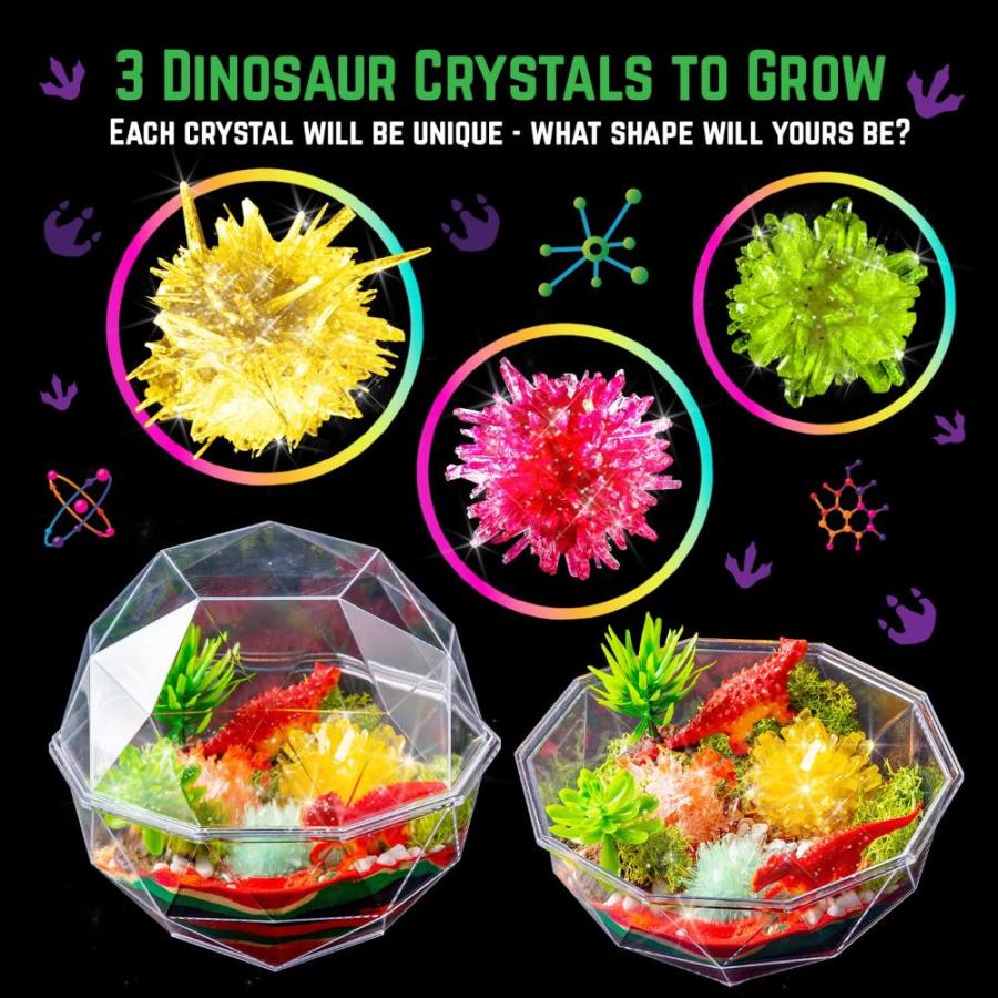 東京都内の店舗 Original Stationery Grow Your Own Crystal Dinosaur Terrarium Kit， Fun Cryst