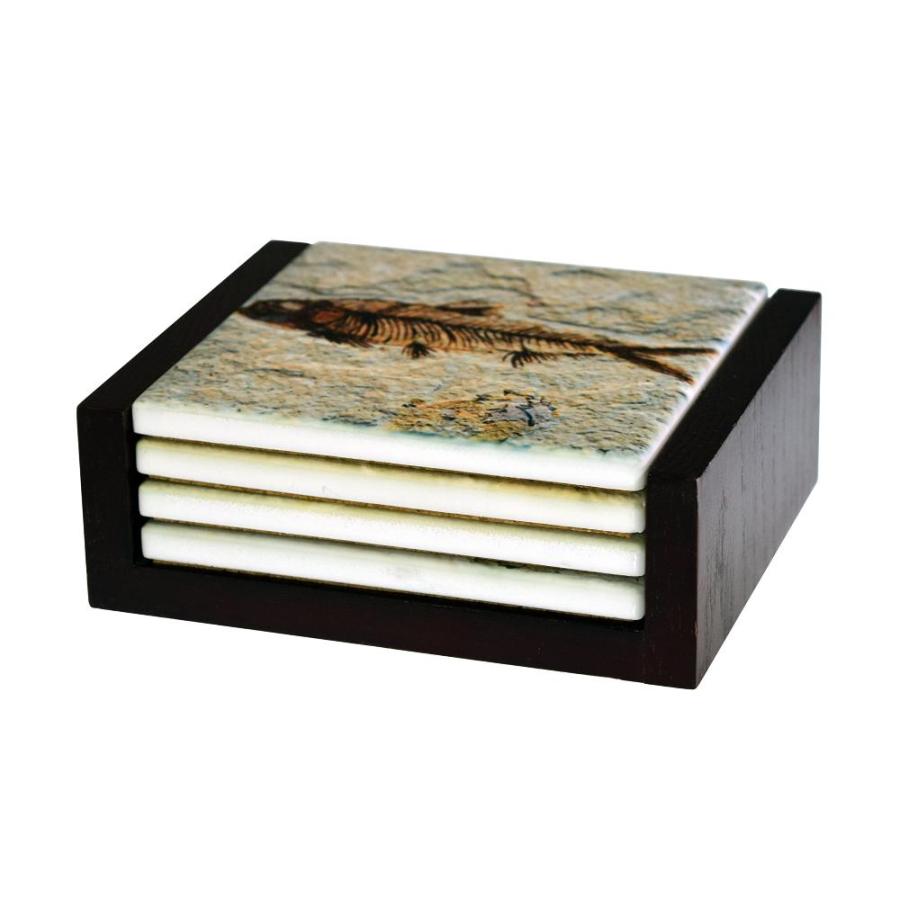 Fossil Fish Images - 4-Piece Ceramic Tile Coaster Set - Caddy Included｜tactshop｜04