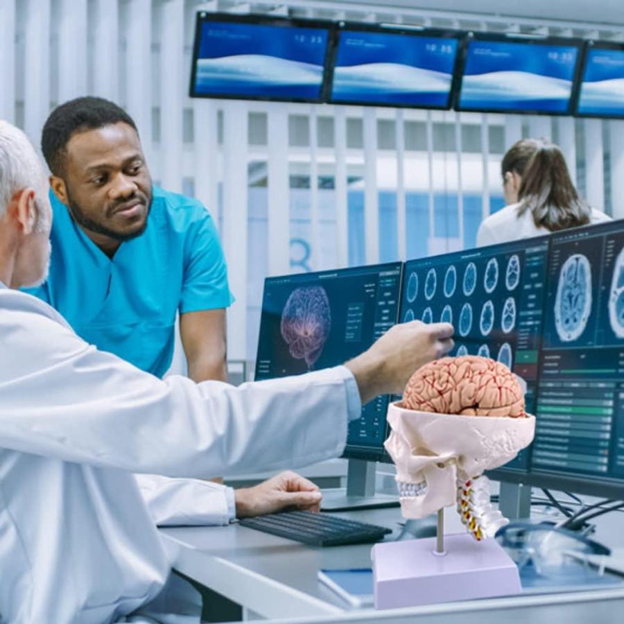 人間の頭蓋骨と脳の解剖学モデル 等身大 頸椎と基礎付き 教室 医療 神経科 解剖学 教育 勉強用｜tactshop｜04