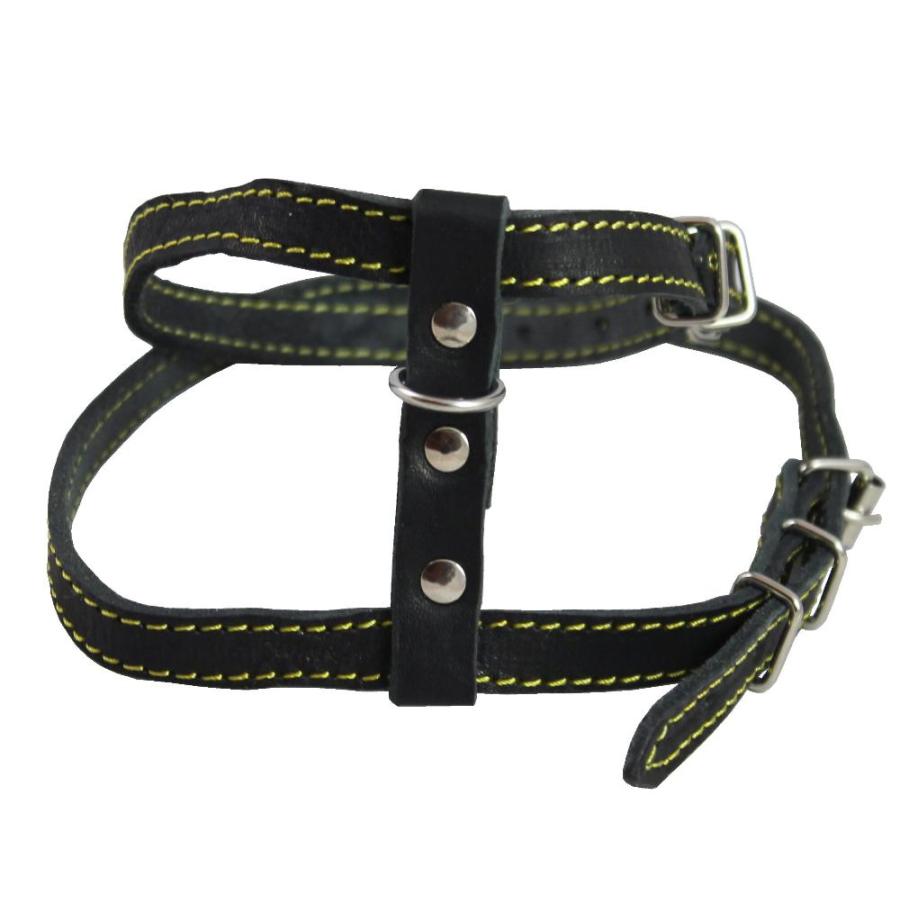 Real Leather Feline Harness, 12-15 Chest size, 3/8 Wide, Small to Medium Ca｜tactshop｜03