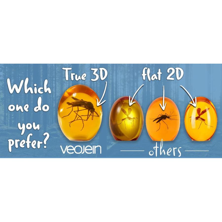 ジュラシック3Dモスキート 琥珀樹脂製 | 真の3Dオリジナルデザイン Amazon.co.jp: VEOJEIN ジュラシック3Dモスキート 琥珀樹脂製
