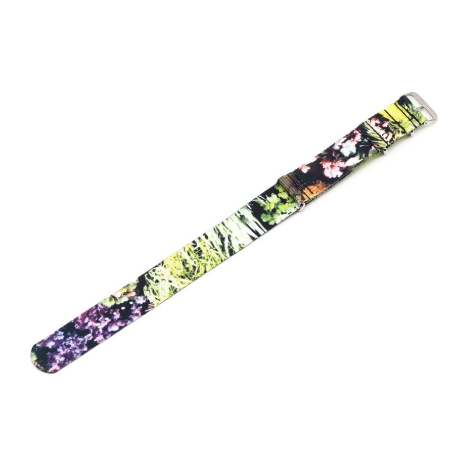 botanical flower |  | 01