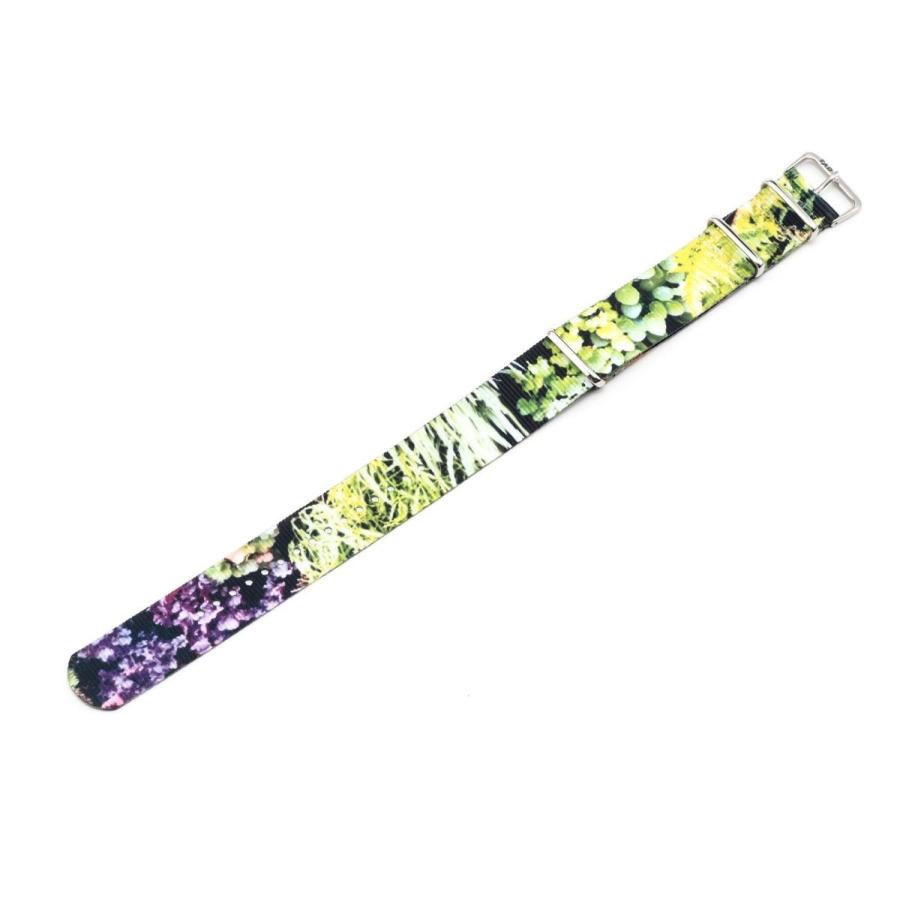 botanical flower |  | 02