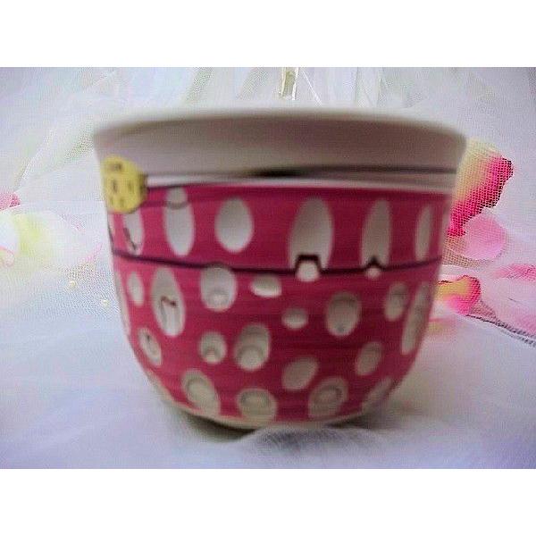 常滑焼憲児作 ピンク水玉カット練り込み湯呑 和陶器 |  | 01