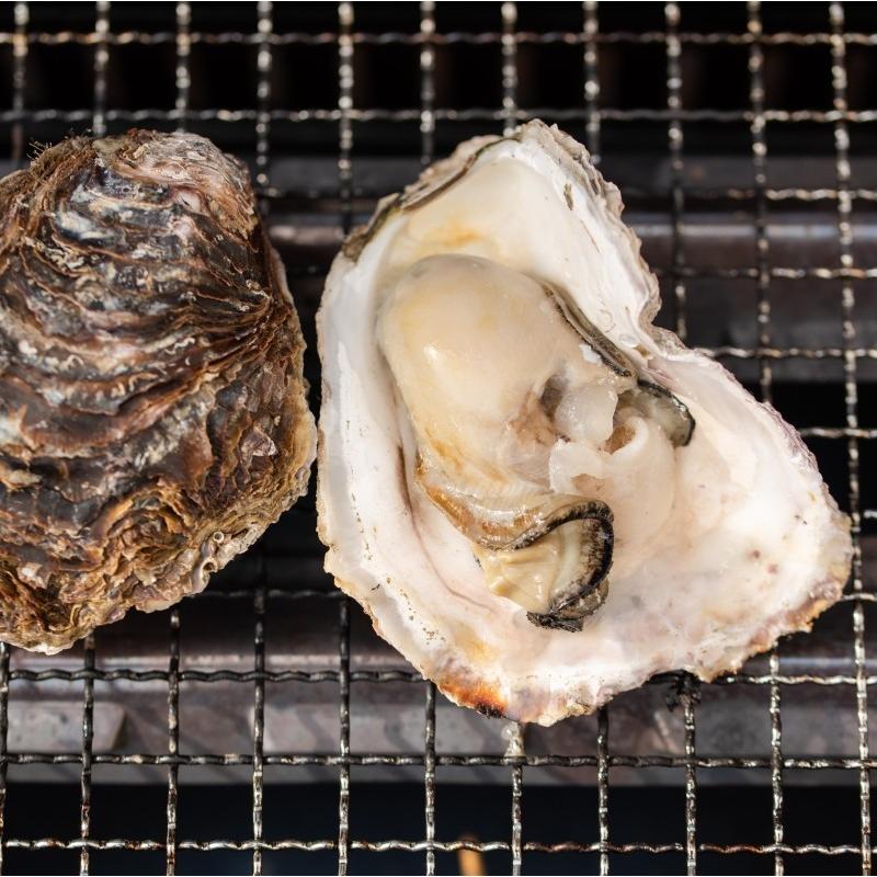 はまぐり特大2kg 岩牡蠣(生牡蠣)大2kg 国産天然 バーベキュー、贈り物 貝類 三河湾産 大アサリ 2kg サザエ 2kg セット