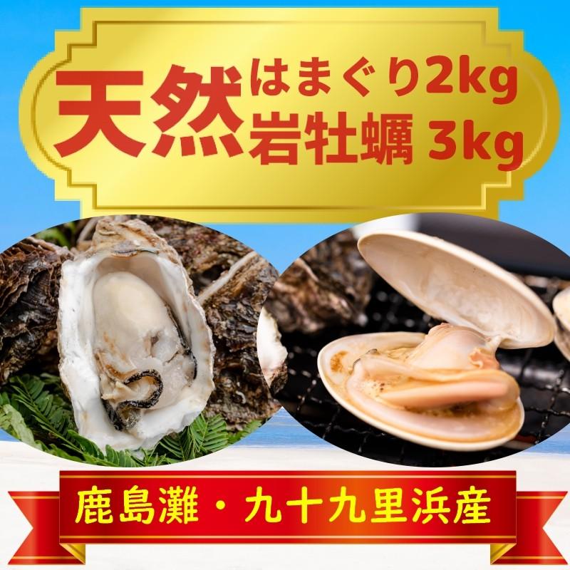 はまぐり特大2kg 岩牡蠣 生牡蠣 大3kg バーベキュー 国産天然 贈り物 登場!