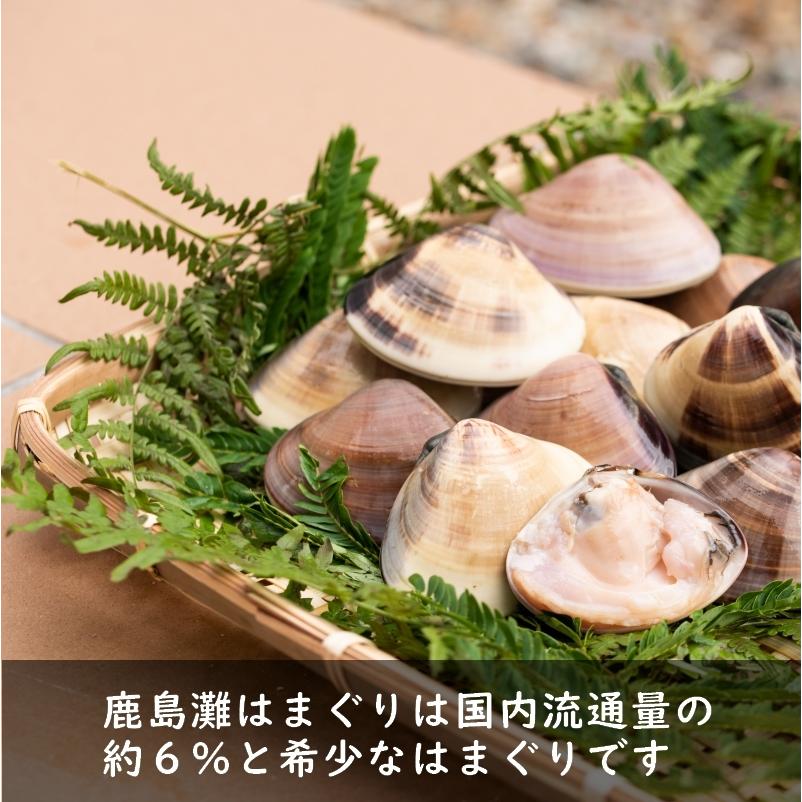 はまぐり 国産天然 3kg 特大 大 中サイズ バーベキュー 贈り物に 冷凍可能 Hmg0002 多福商事ヤフー店 通販 Yahoo ショッピング