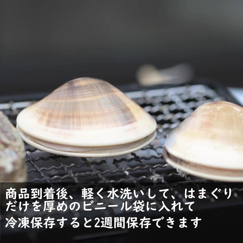 はまぐり　国産天然　4kg  特特大 特大 大サイズ　バーベキュー　贈り物に　冷凍可能｜tafuku-shoji｜08