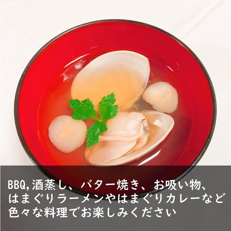 はまぐり 国産天然 5kg 特大 大サイズ バーベキュー 贈り物に 冷凍可能 Hmg0004 多福商事ヤフー店 通販 Yahoo ショッピング