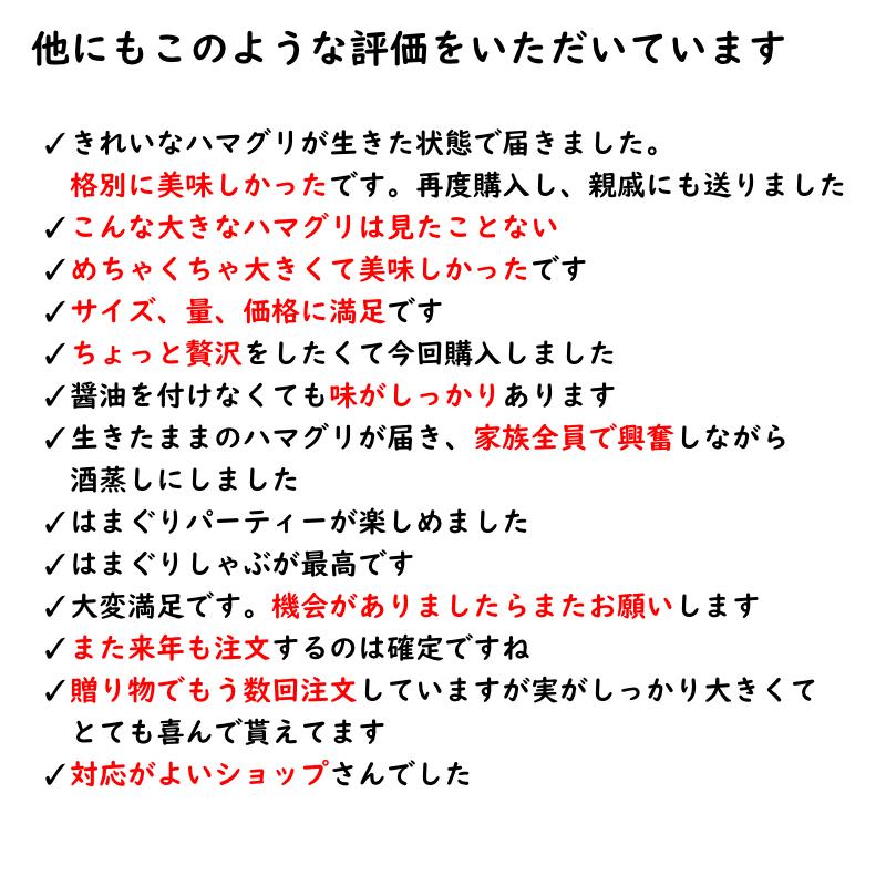 はまぐり　国産天然　5kg 特特大 特大 大サイズ　バーベキュー　贈り物に　冷凍可能｜tafuku-shoji｜10