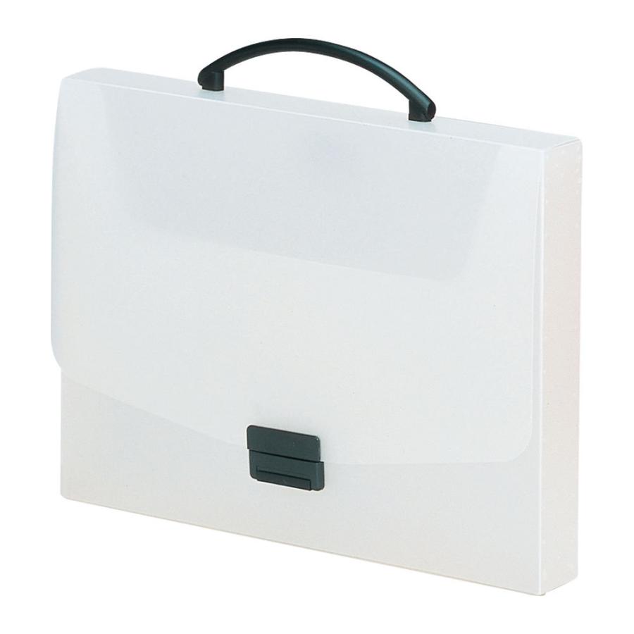 A-5005-1 ＡＱＵＡ ＤＲＯＰｓ　バッグ Ａ４ 乳白 リヒトラブ 4903419839253（20セット）