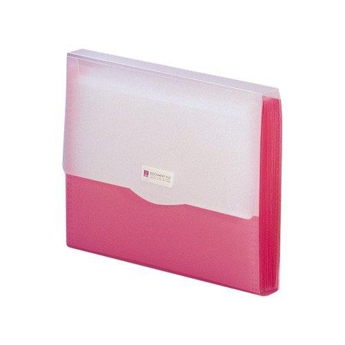 G5610-3 リクエスト　ドキュメントファイル Ａ４ レッド リヒトラブ 4903419833244（40セット）