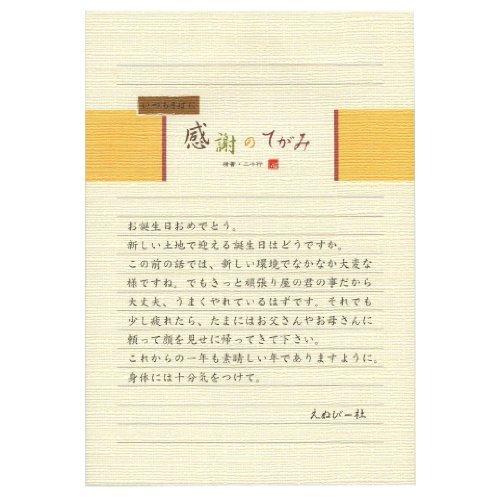 5300202　NB 伝えるきもち B5便箋 横罫 エヌビー社 4905260665289（170セット）