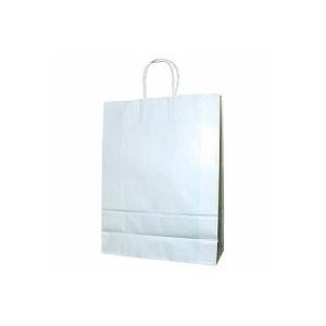 ス-10930マイ　菅公工業 ペーパーバッグ 白 大 ス-109 30マイ 菅公工業 4971655701092（10セット）