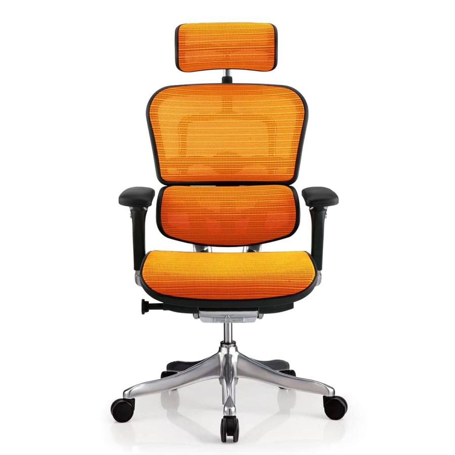 注目の福袋！ オフィスジャパンエルゴヒューマンプロチェア Ergohuman