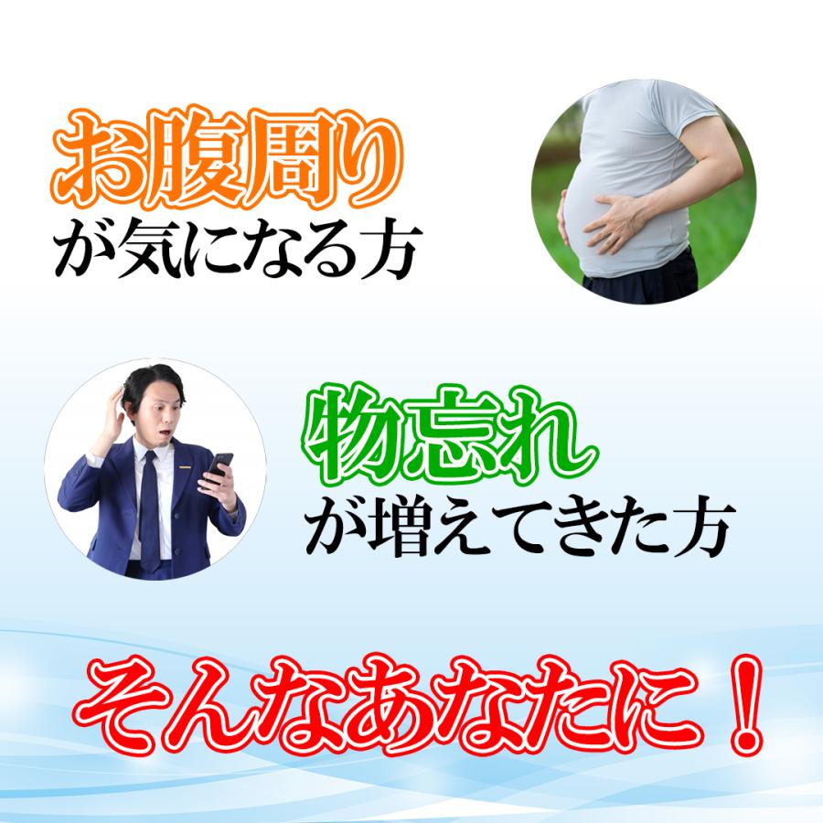 DHA EPA サプリ サプリメント 海洋の力 オメガ3 睡眠の質を高める 1箱 約30日分 210粒 GMP認定 明治薬品 送料無料の画像
